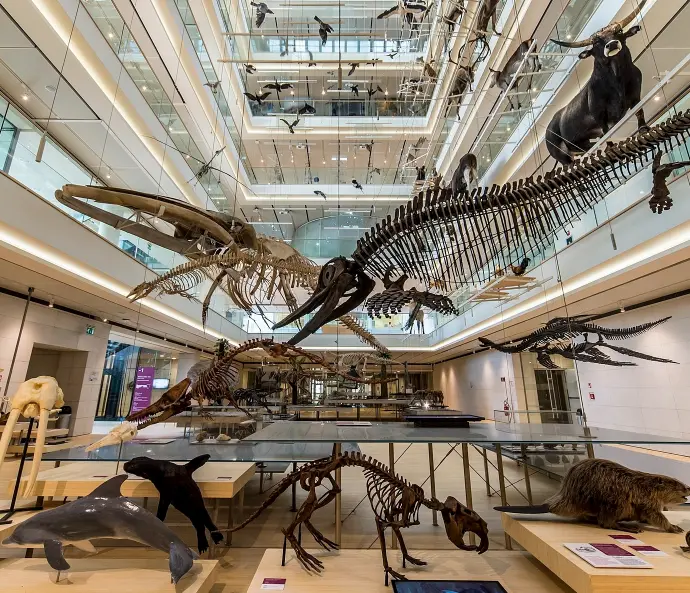 MUSE trento comwork MUSE trento comwork